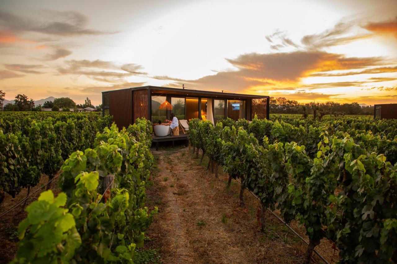 Vibo Wine Lodge At Viu Manent Санта Крус Екстериор снимка