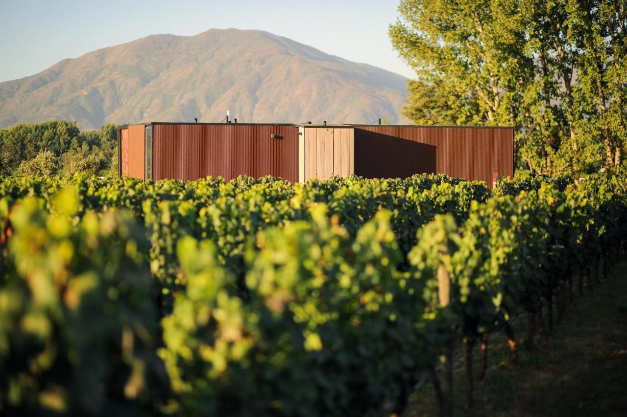 Vibo Wine Lodge At Viu Manent Санта Крус Екстериор снимка