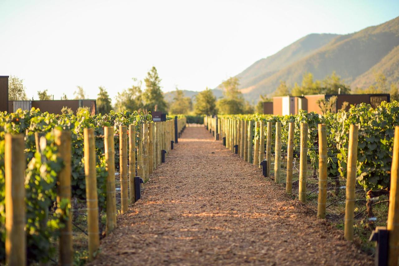 Vibo Wine Lodge At Viu Manent Санта Крус Екстериор снимка