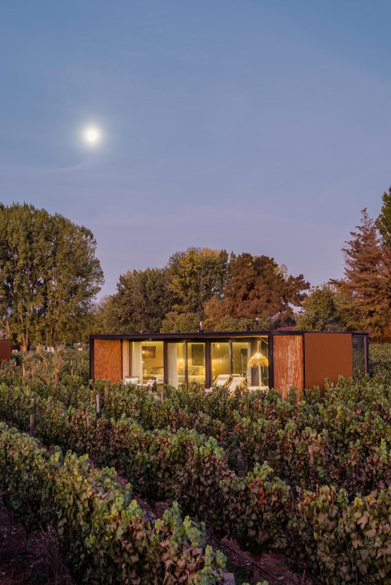 Vibo Wine Lodge At Viu Manent Санта Крус Екстериор снимка